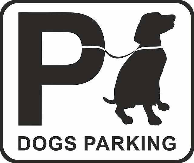 parkování pro psy.png